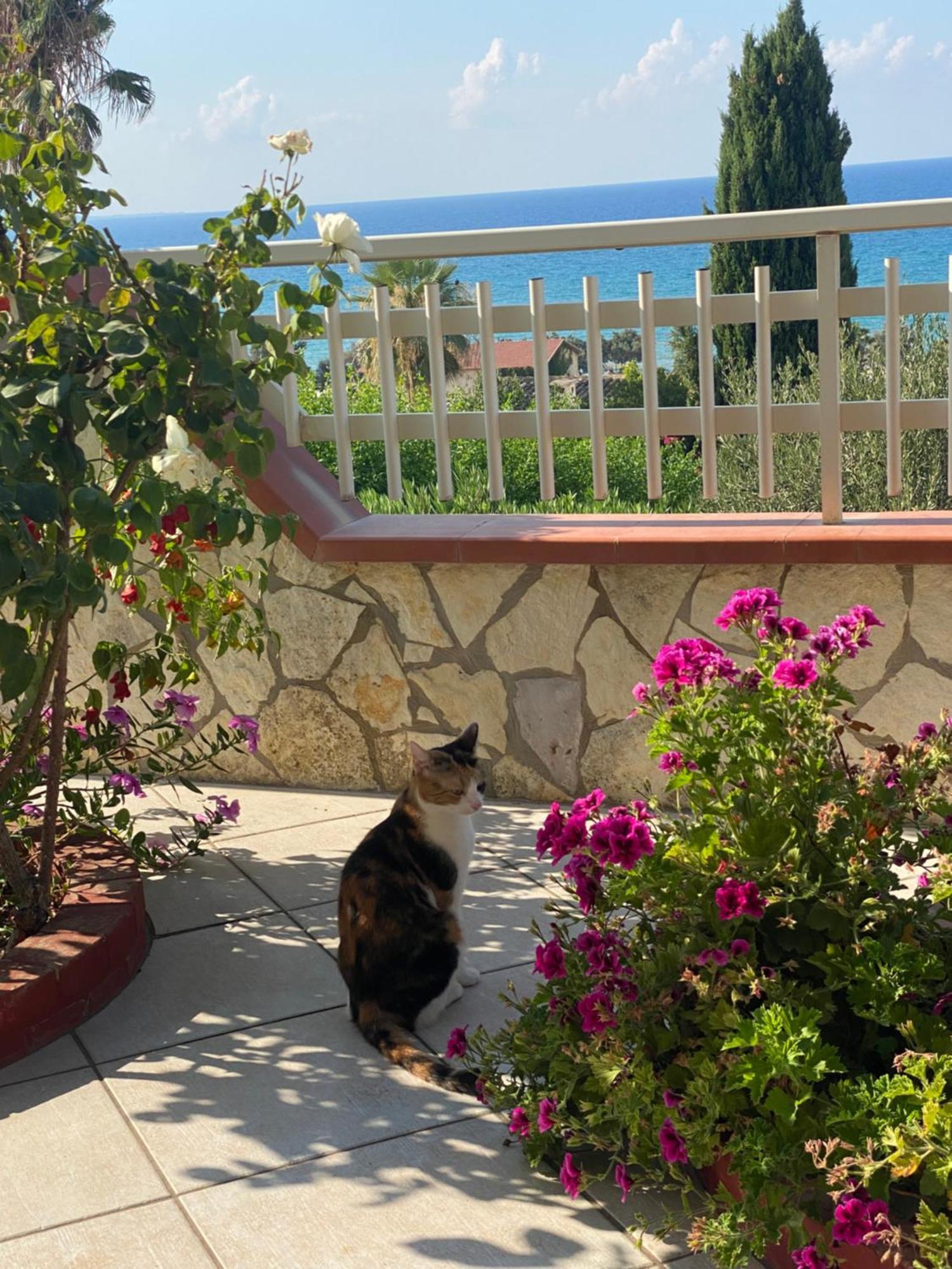 Villa Mare Giuggiola Alcamo Marina Zewnętrze zdjęcie