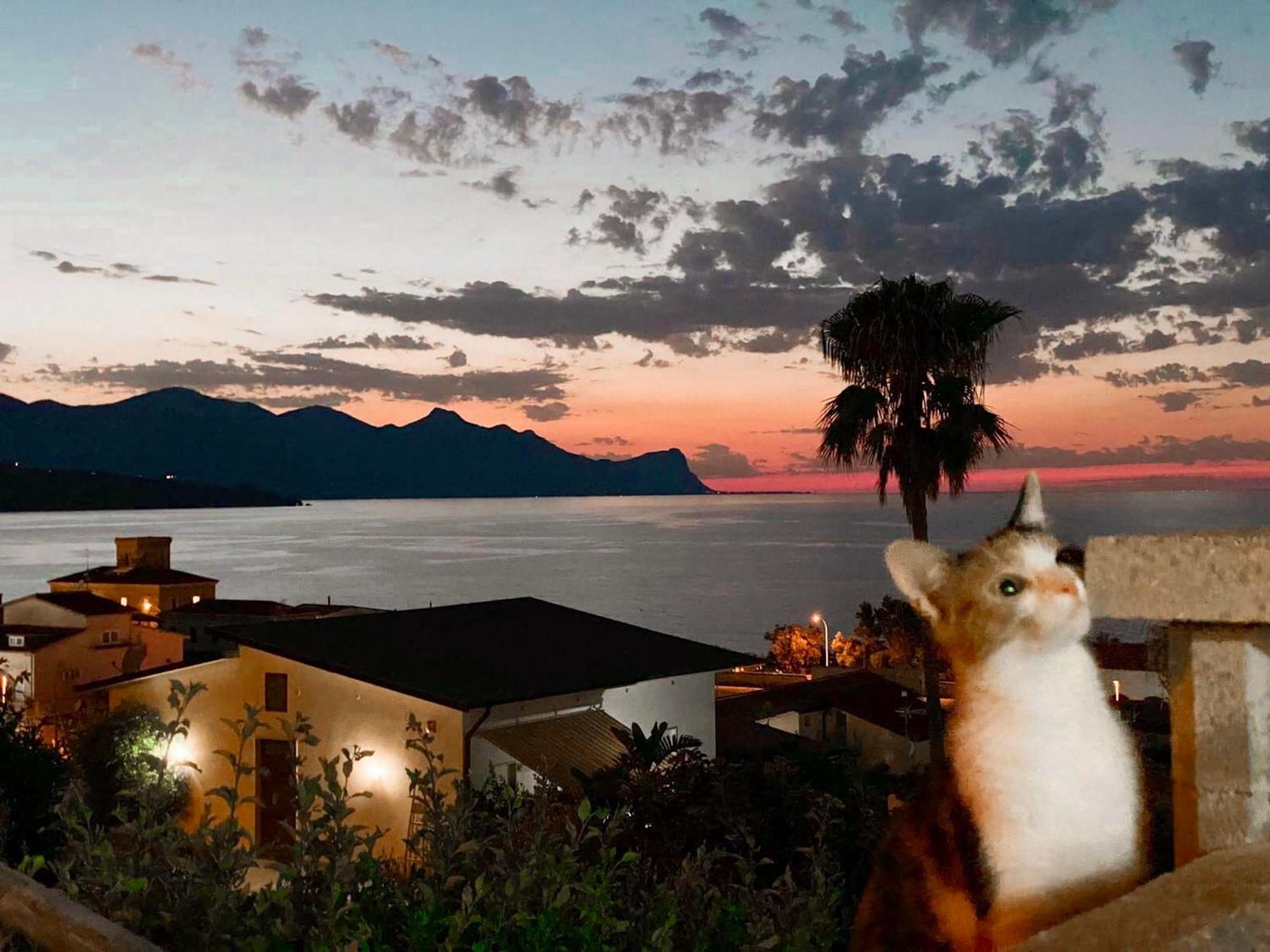 Villa Mare Giuggiola Alcamo Marina Zewnętrze zdjęcie