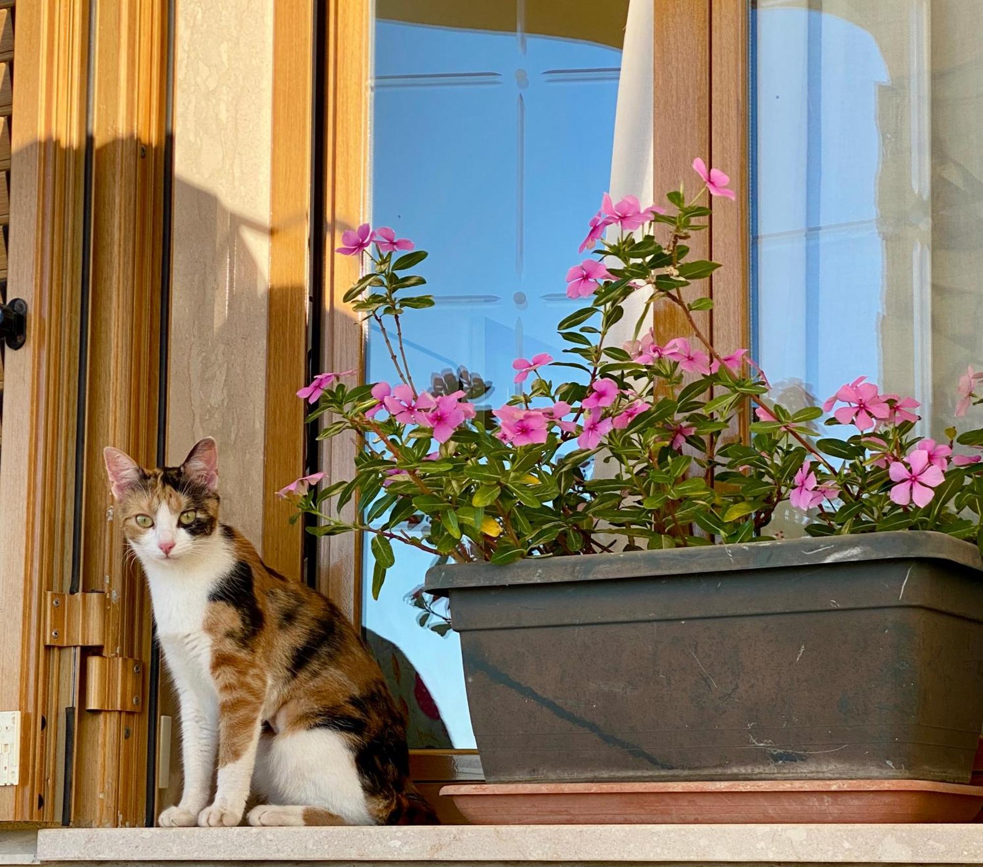 Villa Mare Giuggiola Alcamo Marina Zewnętrze zdjęcie